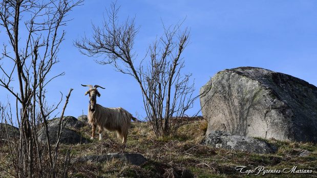 Randonnee-Bivouac-Mont-de-Gez_024