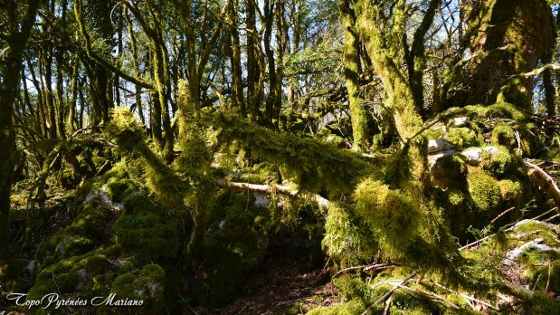 Randonnee-Soum-de-Berret_033