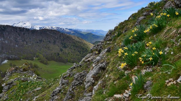 Randonnee-Casque-Lheris-Palomieres_045
