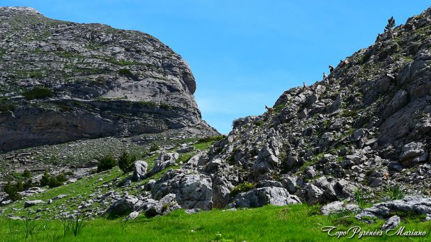 Randonnee-Pico-El-Forato_033