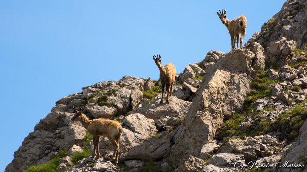 Randonnee-Pico-El-Forato_034