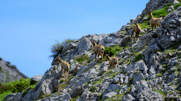Randonnee-Pico-El-Forato_036