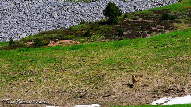 Randonnee-Pico-El-Forato_039
