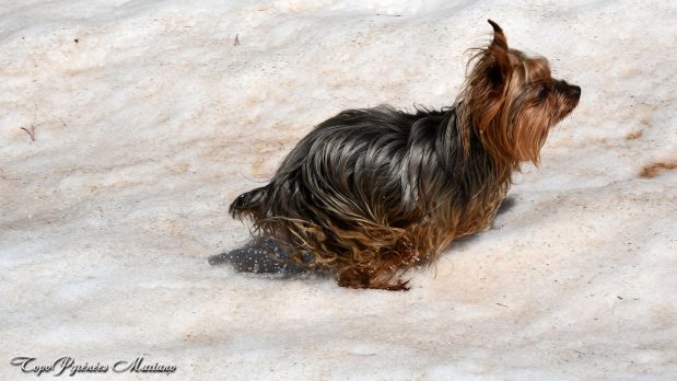 Randonnee-Pico-El-Forato_044