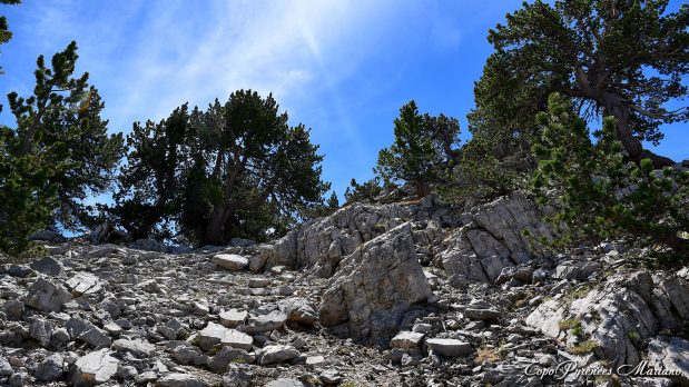 Randonnee-Pico-El-Forato_053