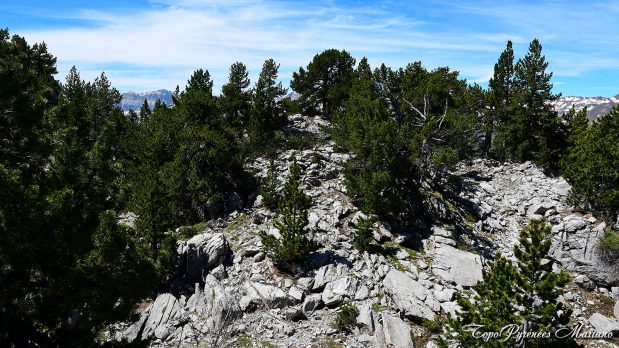 Randonnee-Pico-El-Forato_065