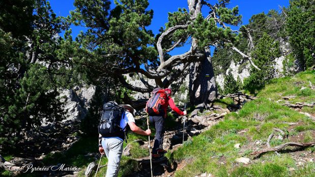 Randonnee-Pedraforca_022
