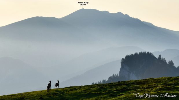 Randonnee-Tossa-d-Alp_001