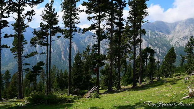 Randonnee-Tossa-d-Alp_009