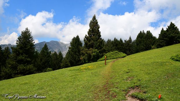 Randonnee-Tossa-d-Alp_011