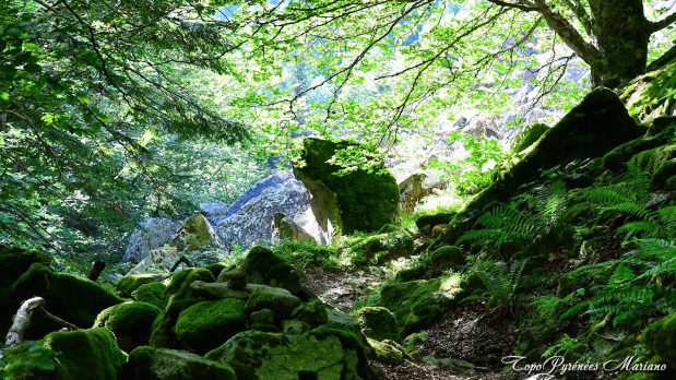 Randonnee-Mont-Valier_094