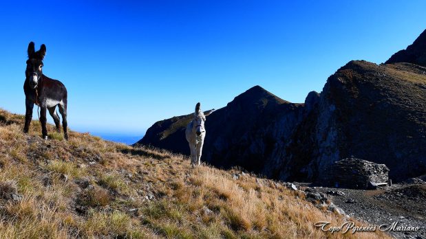 Randonnee-Tuc-de-Mauberme_089