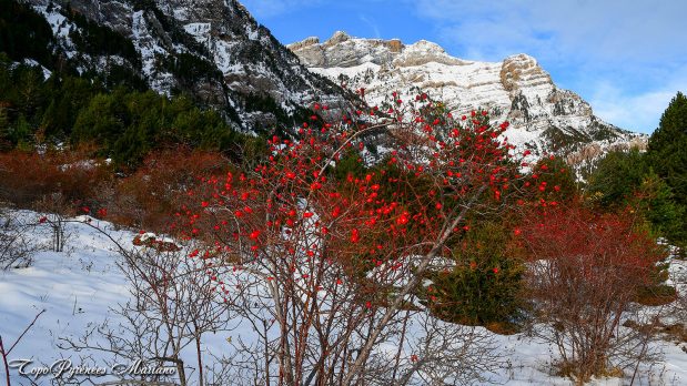 Hivernal-Arche-de-Sarronal_015