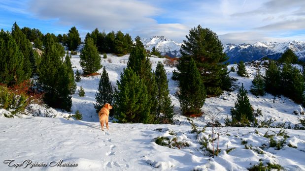 Hivernal-Arche-de-Sarronal_017