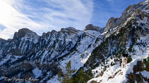 Hivernal-Arche-de-Sarronal_050