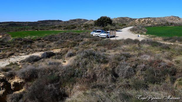 Aguarales-Valpalmas_087