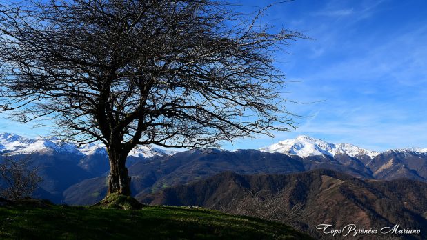 Randonnee-Pic-Salhagagne-Beloscare_040