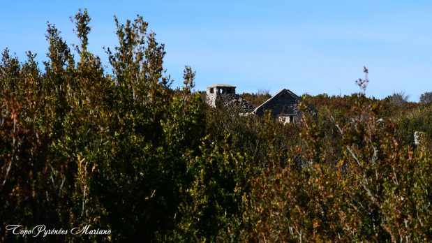 Randonnee-Pico-de-Gabardiella_011