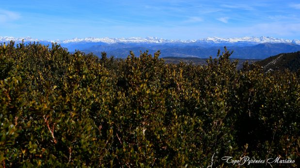 Randonnee-Pico-de-Gabardiella_025