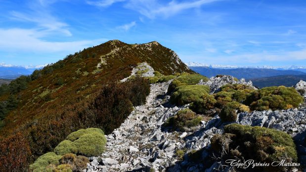 Randonnee-Pico-de-Gabardiella_032