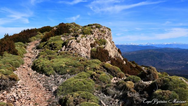 Randonnee-Pico-de-Gabardiella_033