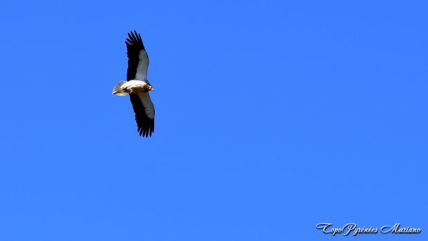 Randonnee-Sierra-de-Bones_023