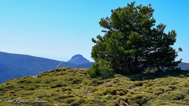 Randonnee-Sierra-de-Bones_043