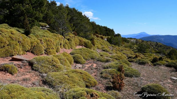 Randonnee-Sierra-de-Bones_057