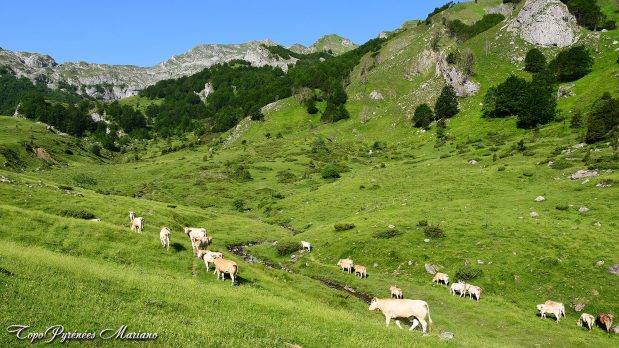 Randonnee-Lac-Puits-d-Arious_005