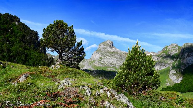 Randonnee-Tour-de-l-Ossau-col-de-l-Iou_017