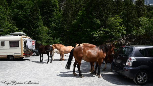 Randonnee-Tour-de-l-Ossau-col-de-l-Iou_098
