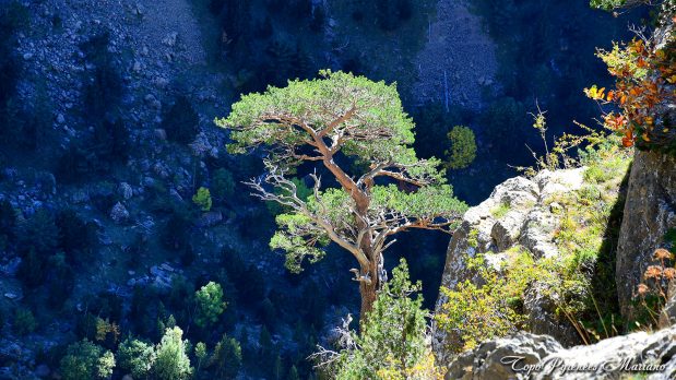 Randonnee-Punta-Escarra_122