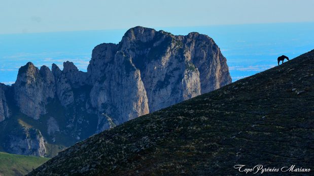 Randonnee-la-Marere_021