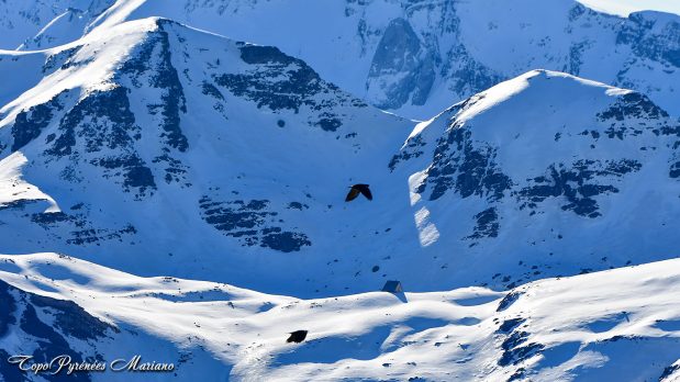 Sortie-hivernale-Pic-Labigouer_064