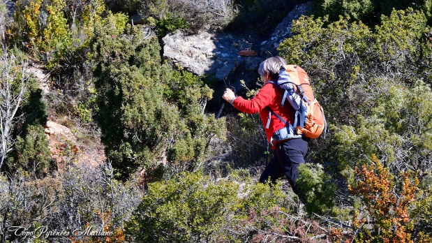 Randonnee-Sentier-Circulaire-Mallos-de-Riglos_028