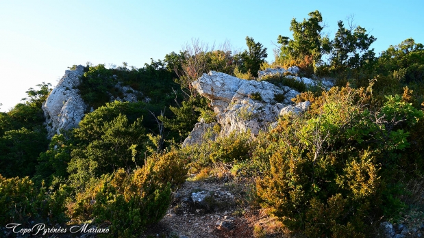 Hors-Pyrenees-Le-Grand-Marges_013
