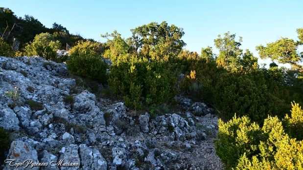 Hors-Pyrenees-Le-Grand-Marges_016