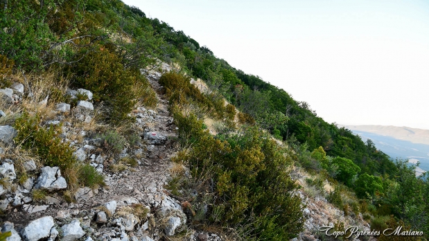 Hors-Pyrenees-Le-Grand-Marges_020