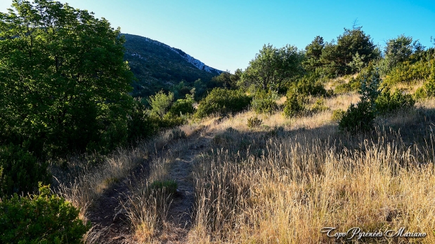 Hors-Pyrenees-Le-Grand-Marges_021