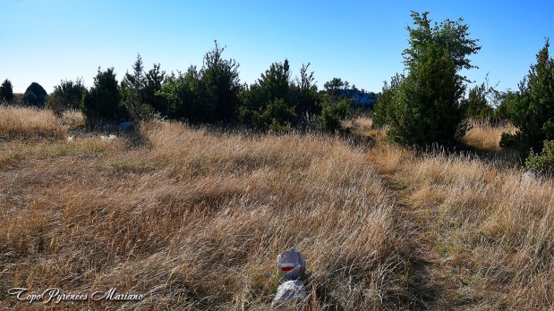 Hors-Pyrenees-Le-Grand-Marges_033
