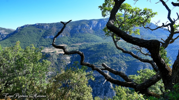 Hors-Pyrenees-Le-Grand-Marges_041