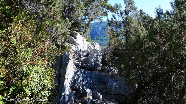 Hors-Pyrenees-Le-Grand-Marges_043