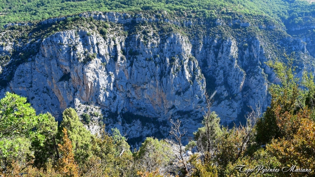 Hors-Pyrenees-Le-Grand-Marges_048