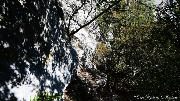 Hors-Pyrenees-Le-Grand-Marges_050