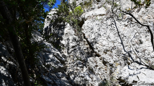 Hors-Pyrenees-Le-Grand-Marges_051