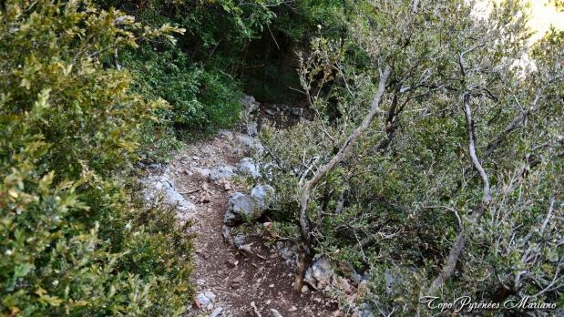 Hors-Pyrenees-Le-Grand-Marges_052