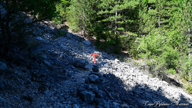 Hors-Pyrenees-Le-Grand-Marges_065