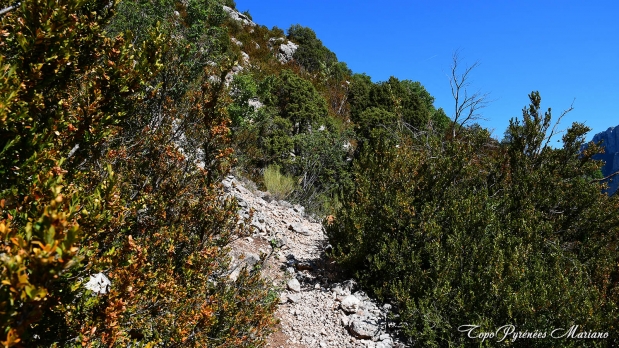 Hors-Pyrenees-Le-Grand-Marges_070