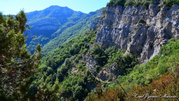 Hors-Pyrenees-Le-Grand-Marges_072