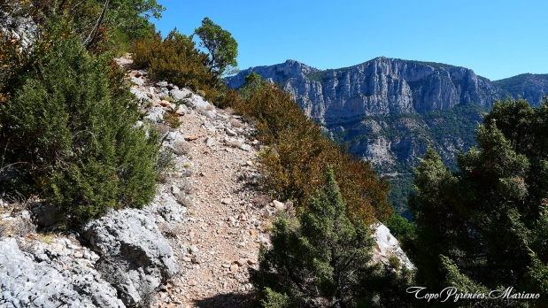 Hors-Pyrenees-Le-Grand-Marges_073